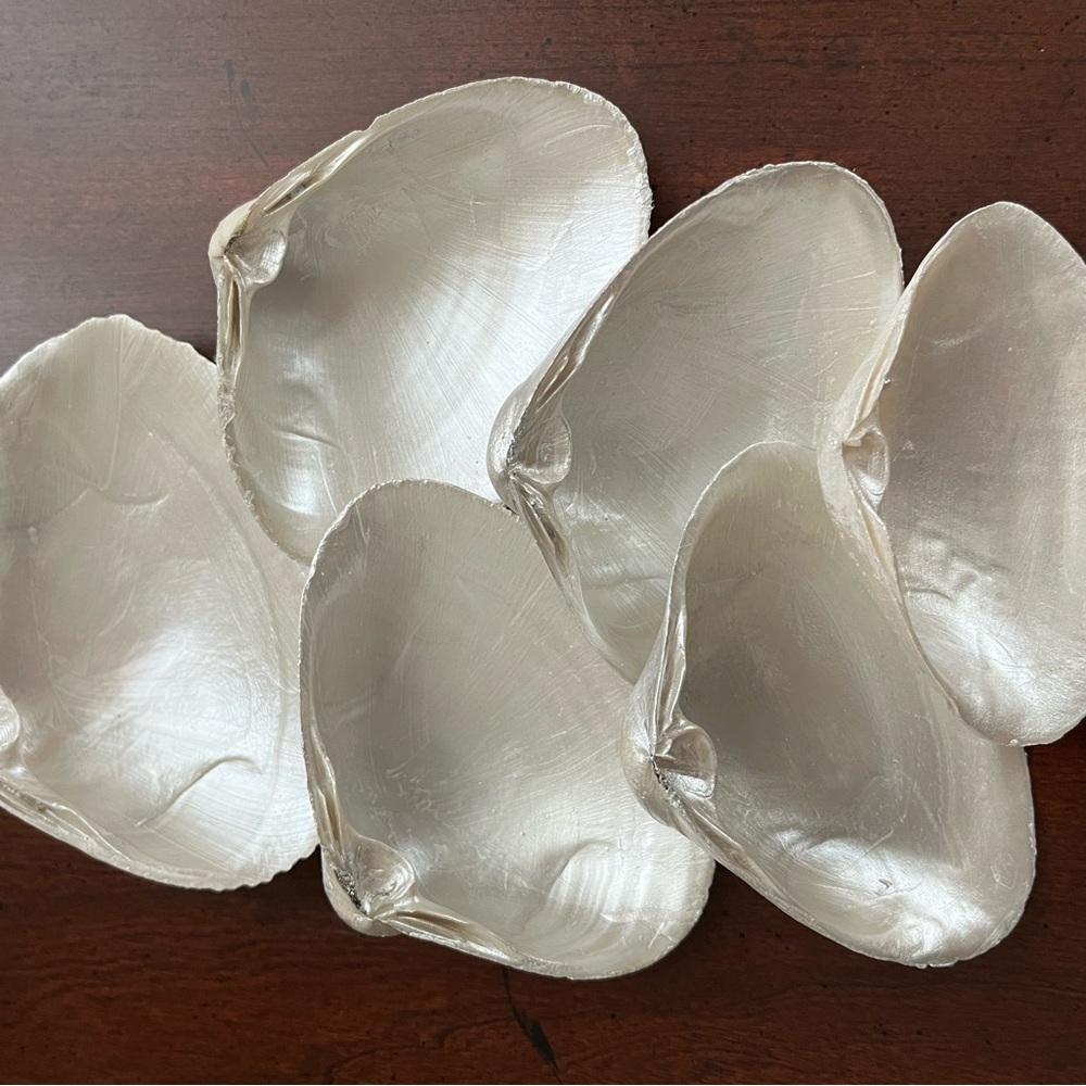 🌻6-Pearl painted shells - Picture 11 of 14